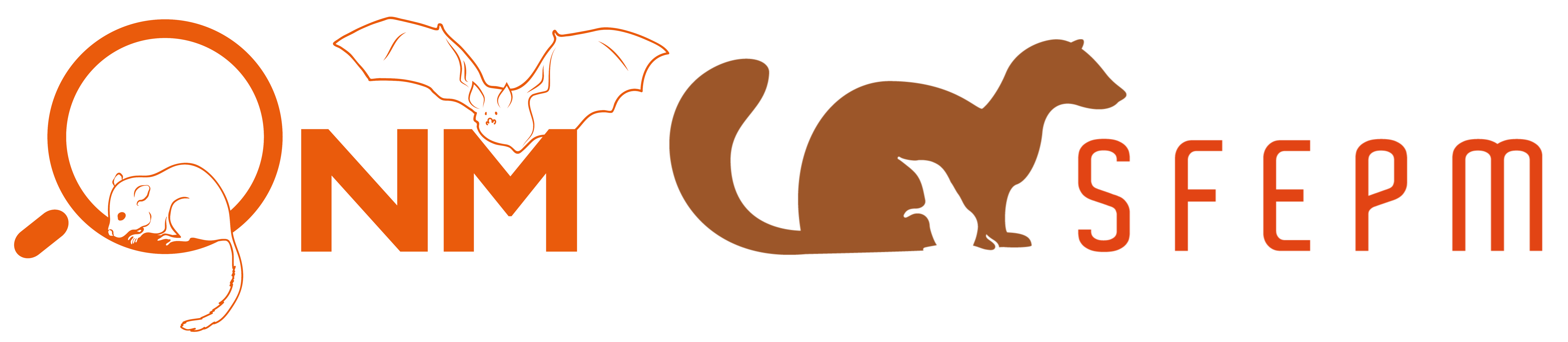 GeoNature Citizen logo: flamengo origami